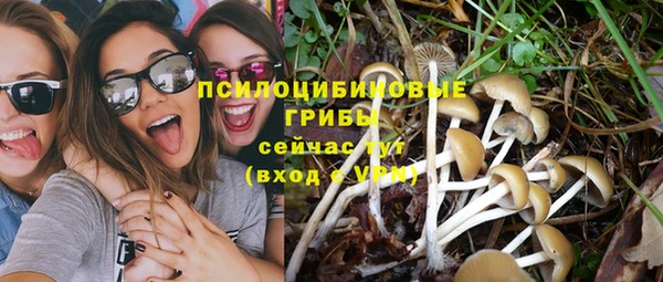 скорость Алексин
